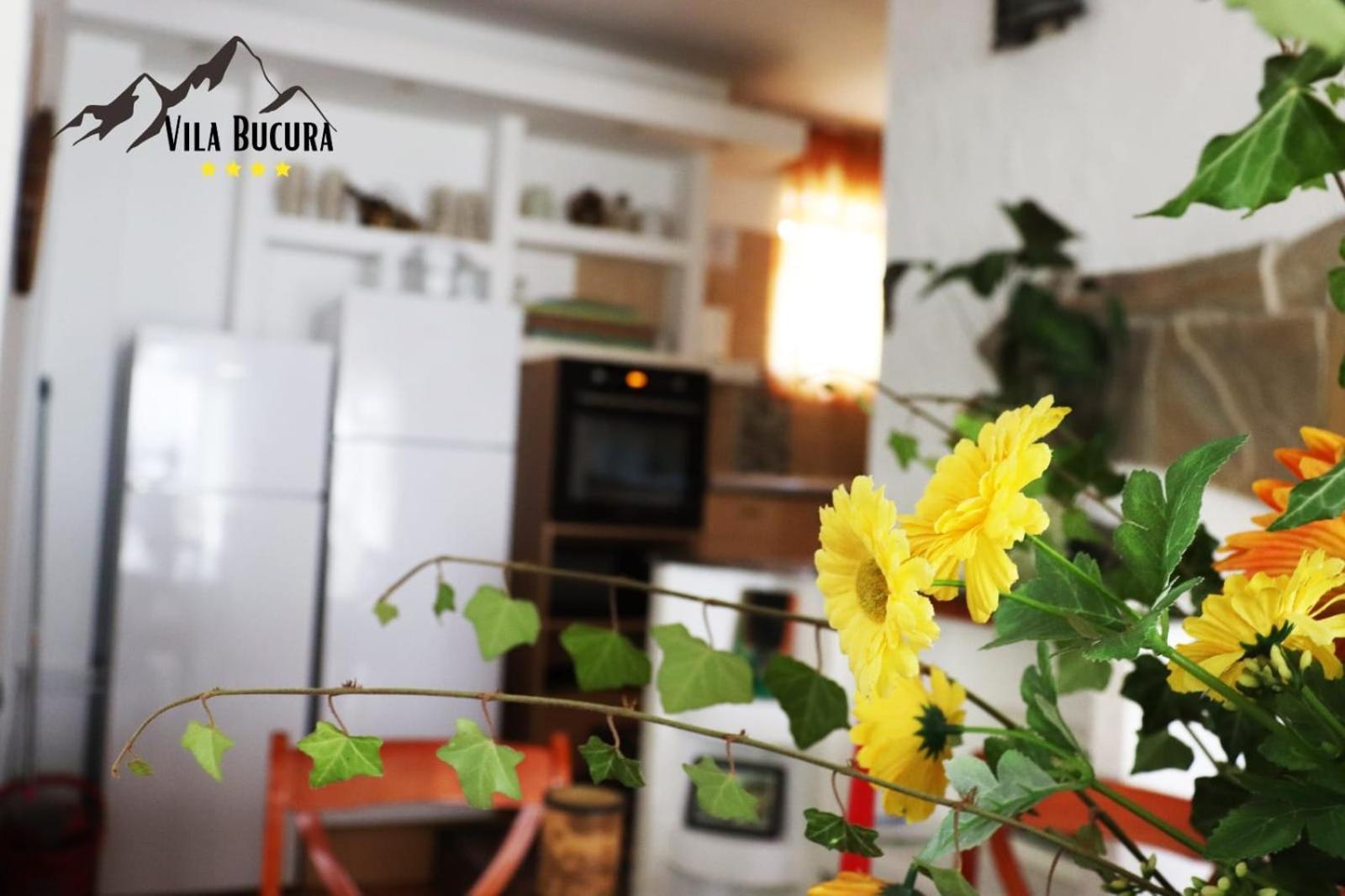 Bucura Sinaia Hotel Ngoại thất bức ảnh