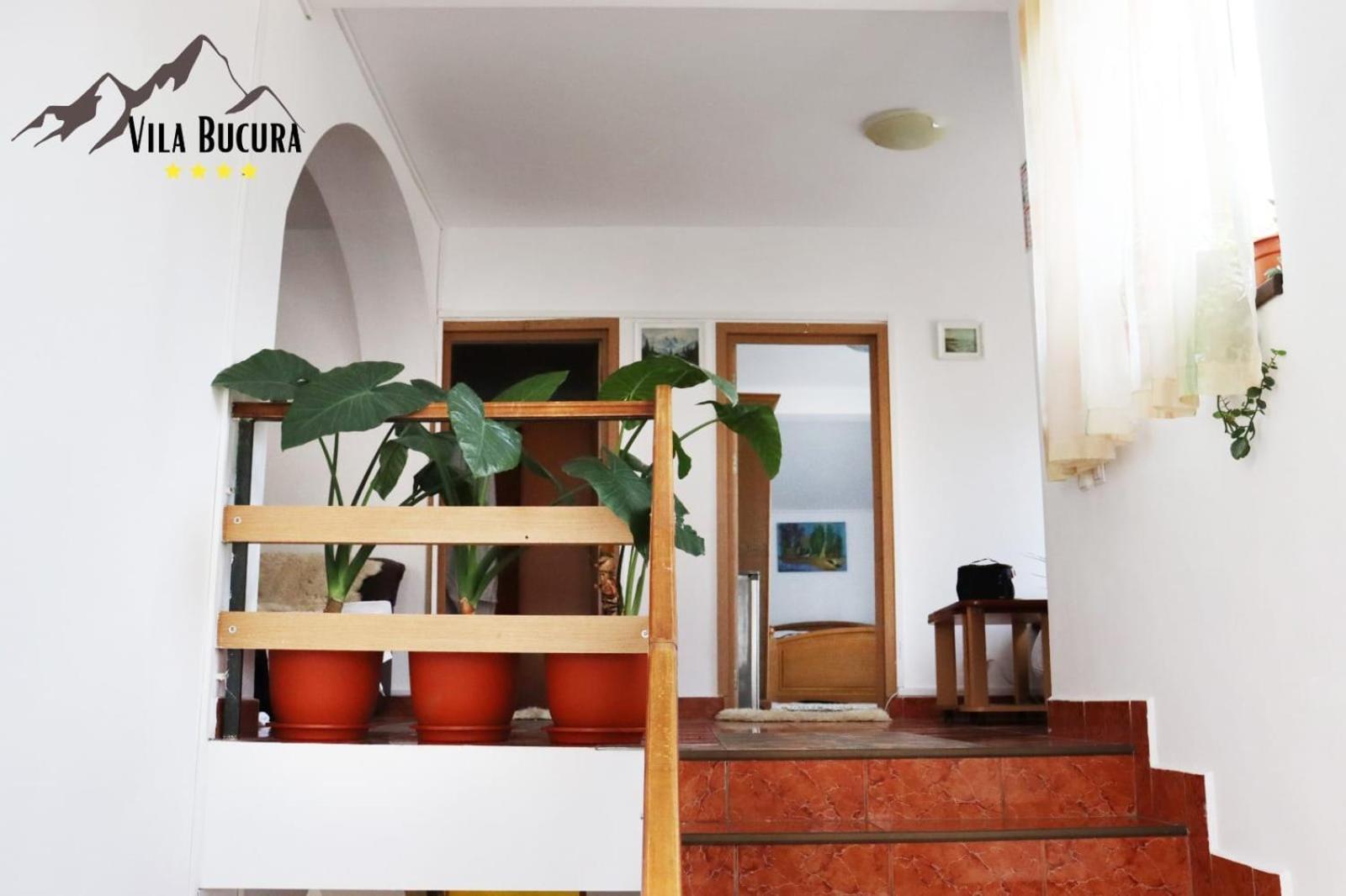 Bucura Sinaia Hotel Ngoại thất bức ảnh